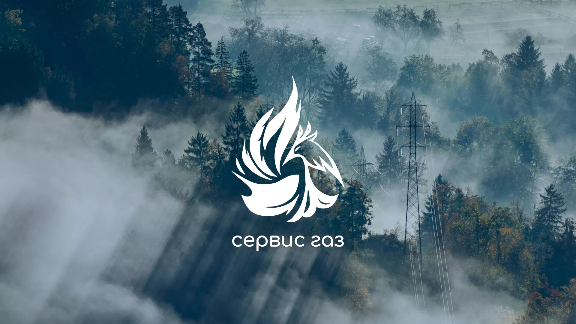 Создание сайта компании «Сервис газ» в Николаевске-на-Амуре