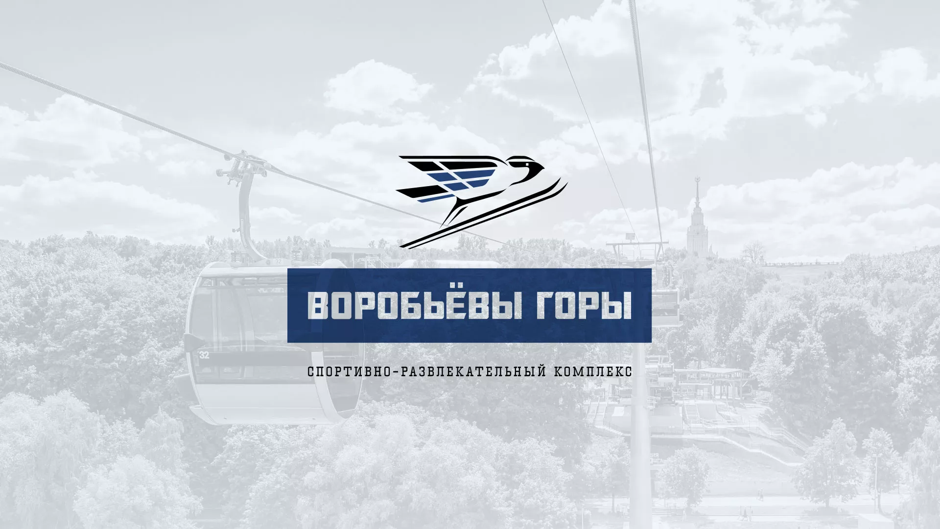 Разработка сайта в Николаевске-на-Амуре для спортивно-развлекательного комплекса «Воробьёвы горы»