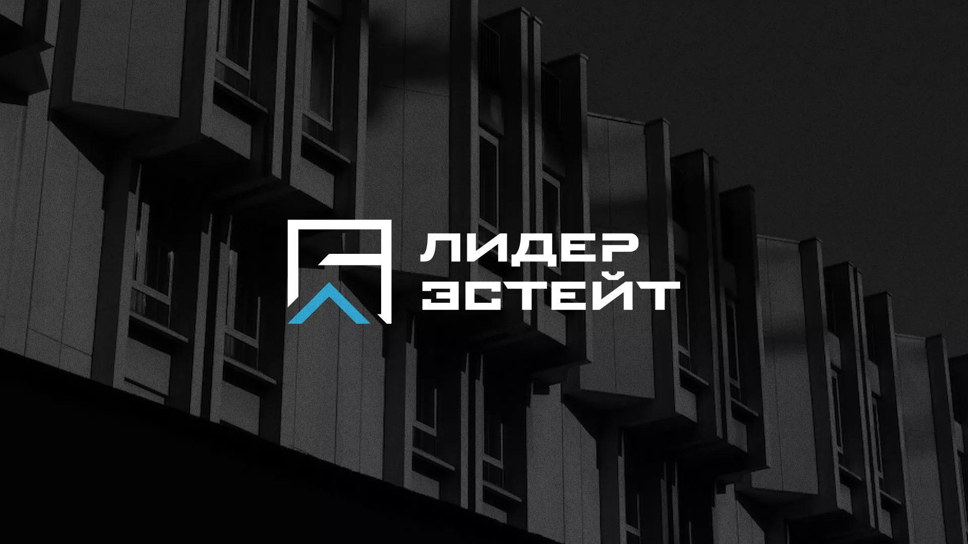 Разработка логотипа агентства недвижимости «Лидер Эстейт» в Николаевске-на-Амуре