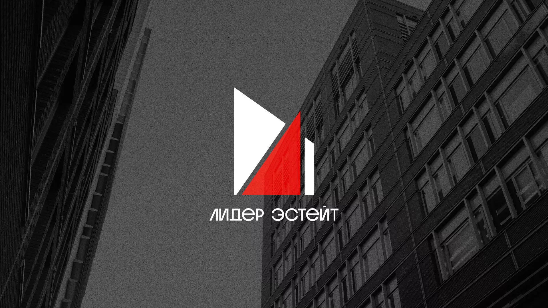 Сделали логотип для агентства недвижимости «Лидер Эстейт» в Николаевске-на-Амуре